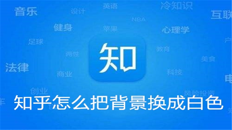 知乎怎么把背景换成白色