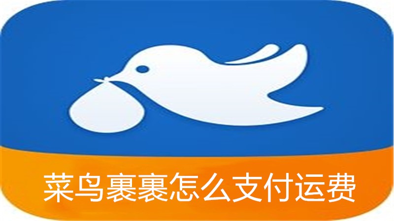 菜鸟裹裹怎么支付运费