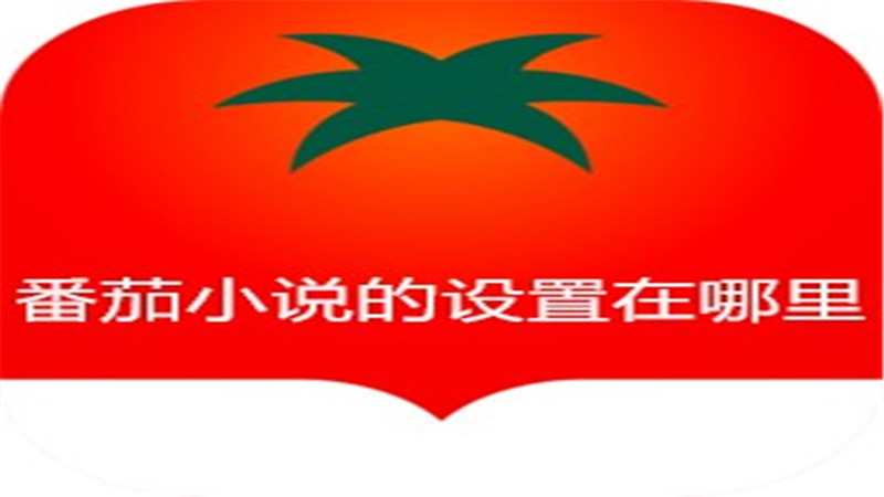 番茄小说的设置在哪里