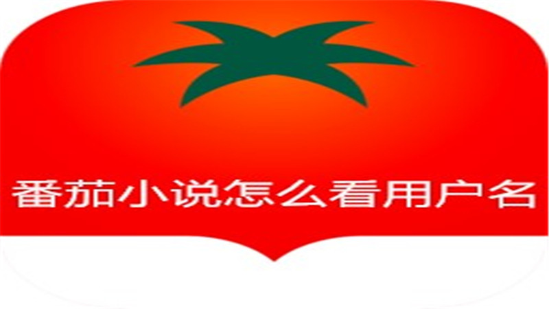 番茄小说怎么看用户名