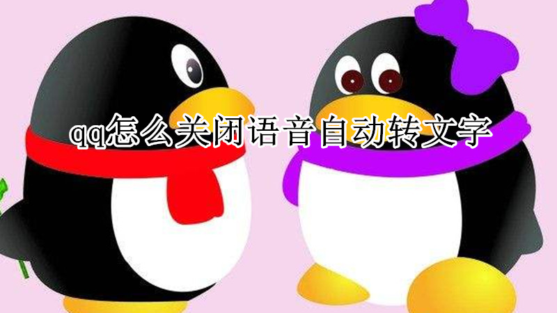 qq怎么关闭语音自动转文字
