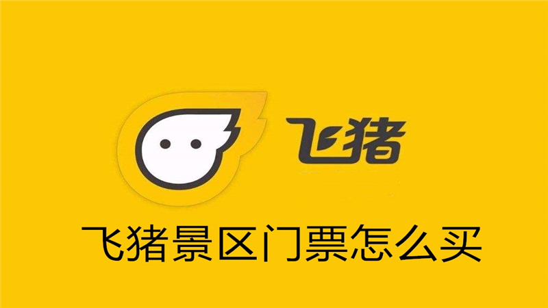 飞猪景区门票怎么买