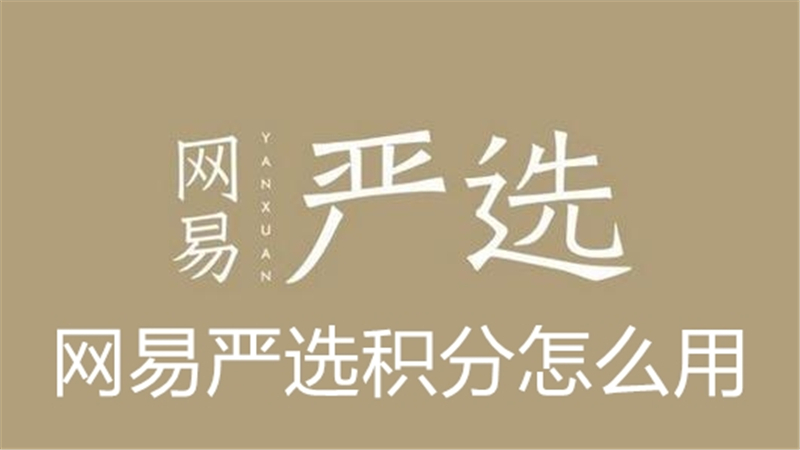 网易严选积分怎么用