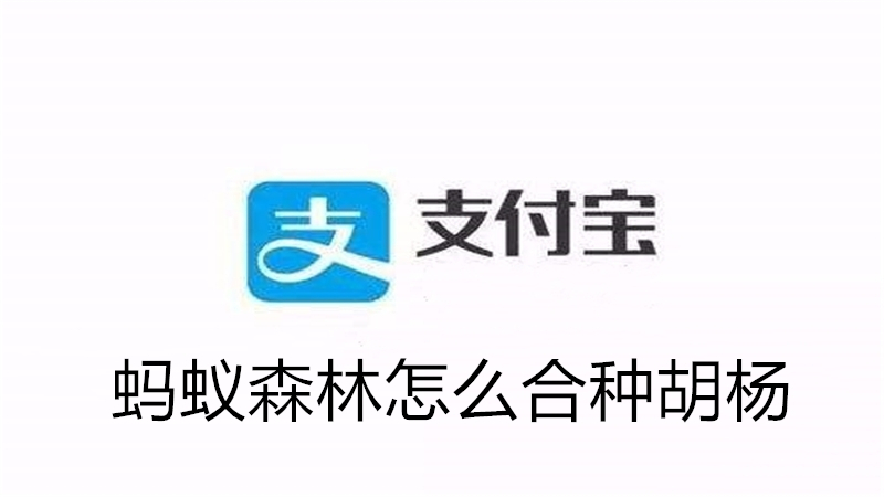 蚂蚁森林怎么合种胡杨