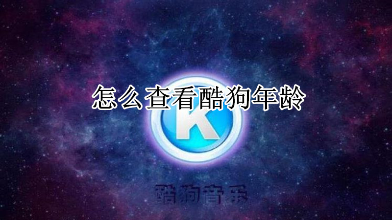怎么查看酷狗年龄