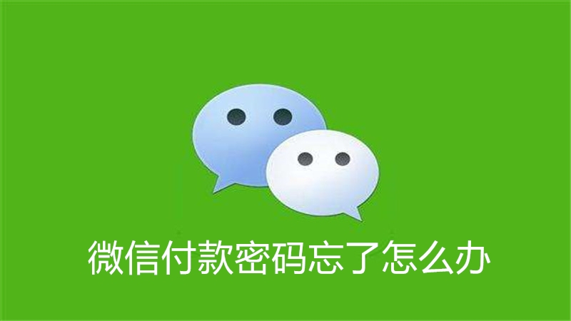 微信付款密码忘了怎么办
