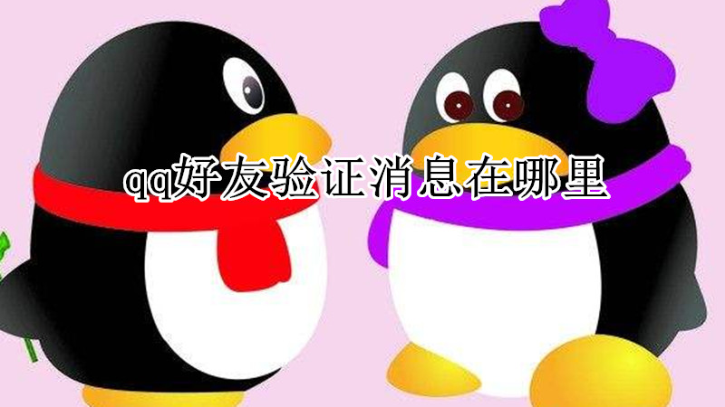 qq好友验证消息在哪里