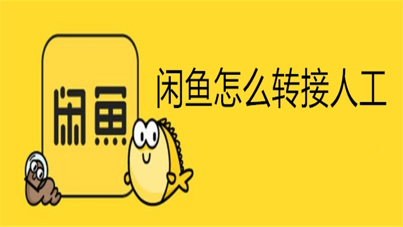 闲鱼怎么转接人工