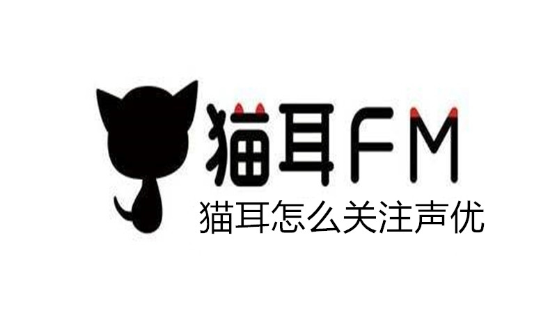 猫耳怎么关注声优