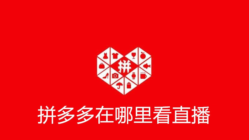 拼多多在哪里看直播
