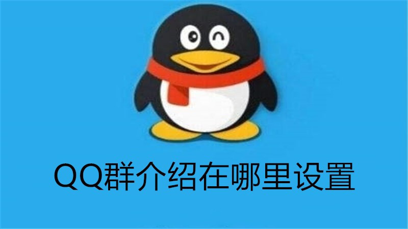 qq群介绍在哪里设置