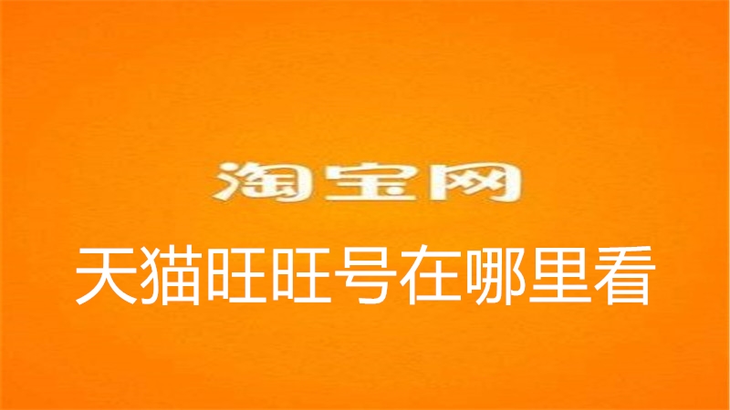 天猫旺旺号在哪里看