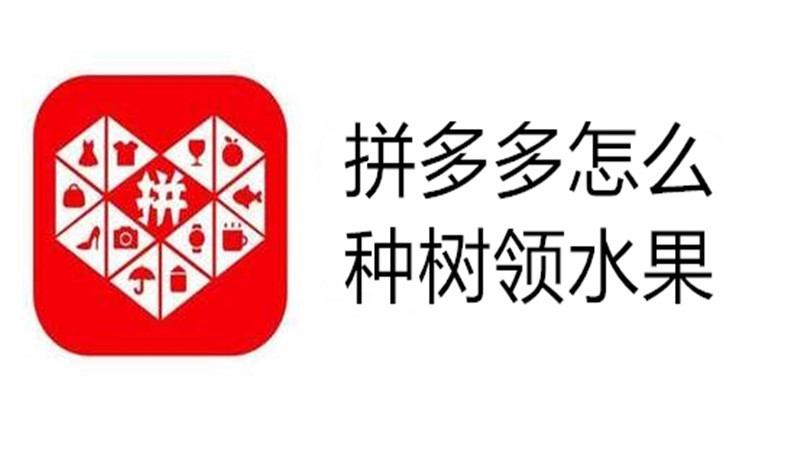 拼多多怎么种树领水果