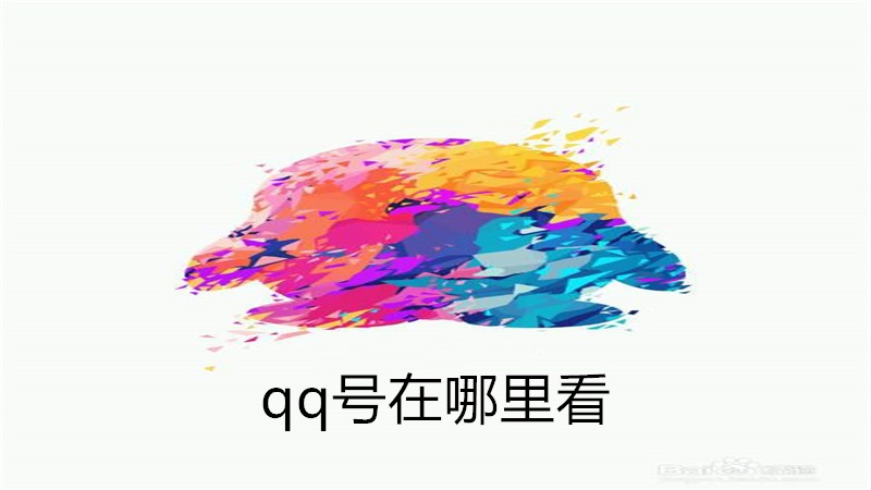 qq号在哪里看