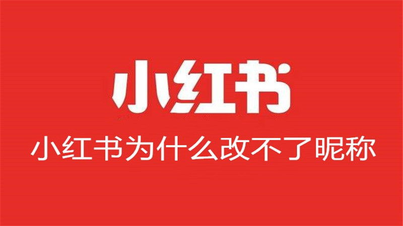 小红书为什么改不了昵称