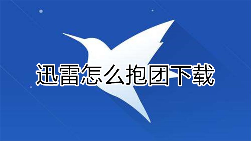 迅雷怎么抱团下载