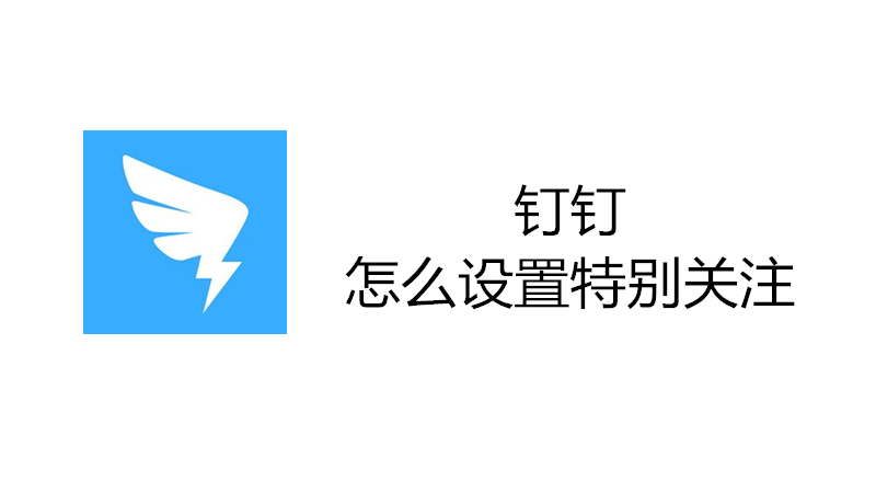 钉钉怎么设置特别关注