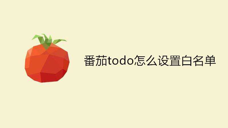 番茄todo怎么设置白名单