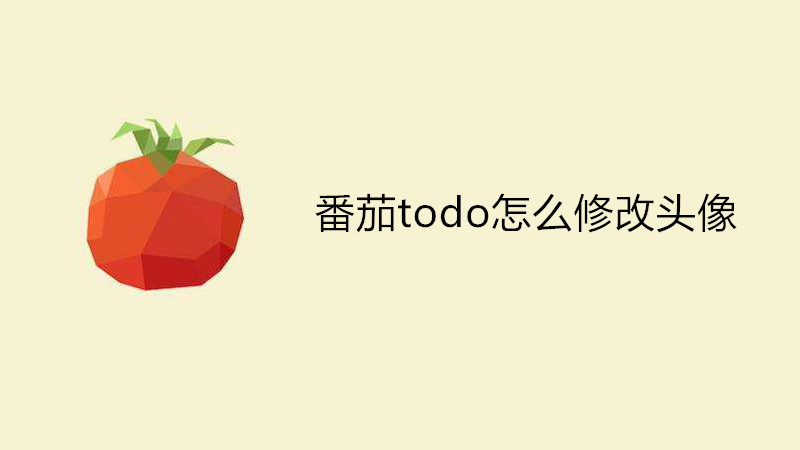 番茄todo怎么修改头像
