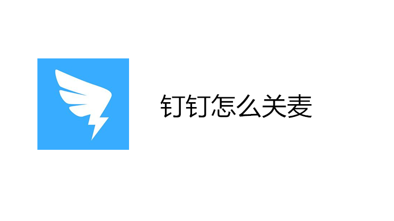 钉钉怎么关麦