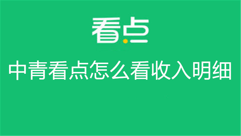 中青看点怎么看收入明细
