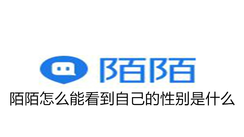 陌陌怎么能看到自己的性别是什么
