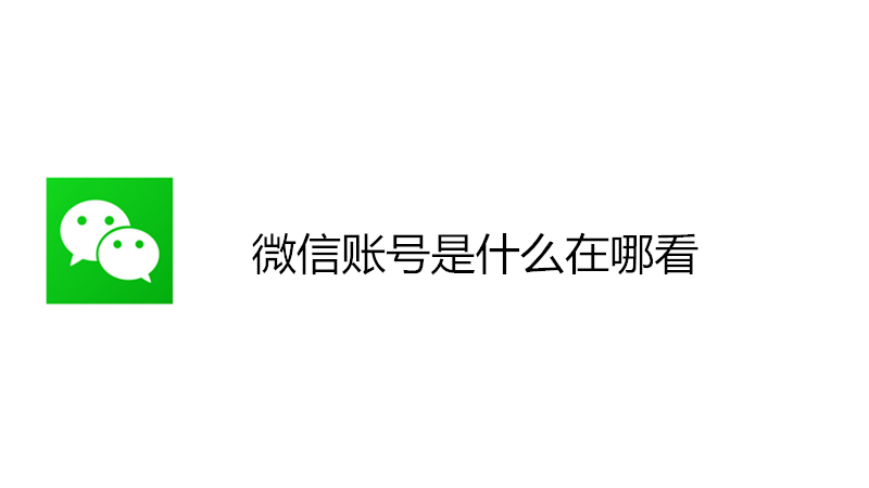 微信账号是什么在哪看
