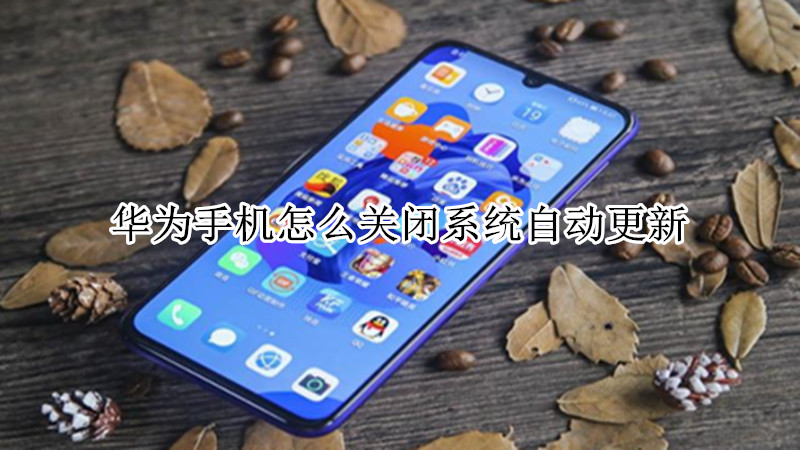 华为手机怎么关闭系统自动更新