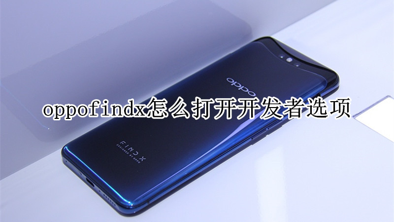 oppofindx怎么打开开发者选项