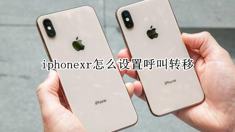 iphonexr怎么设置呼叫转移