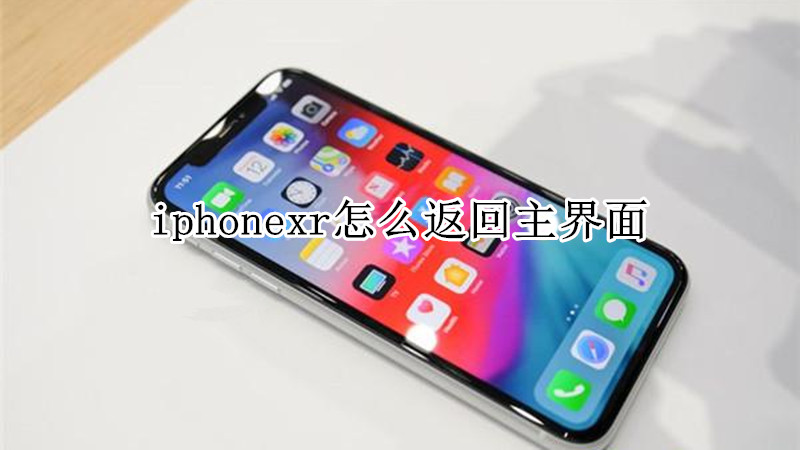 iphonexr怎么返回主界面
