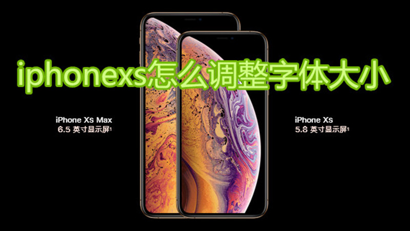 iphonexs怎么调整字体大小