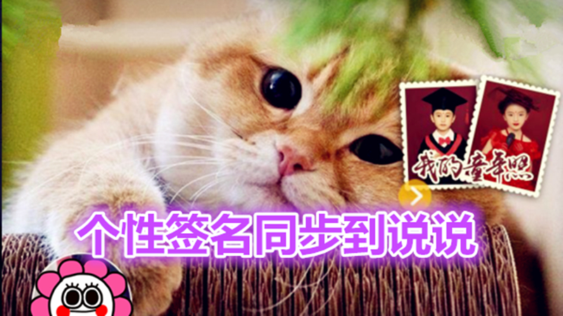 个性签名同步到说说