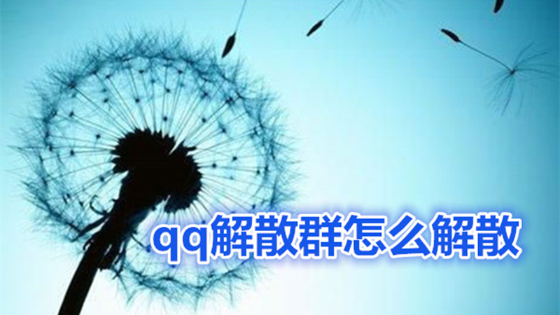 qq解散群怎么解散
