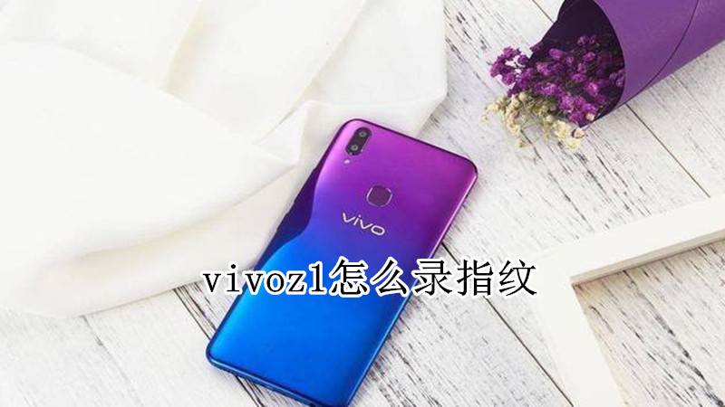 vivoz1怎么录指纹
