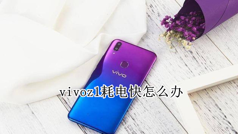 vivoz1耗电快怎么办