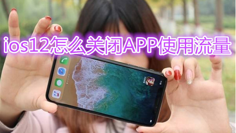 ios12怎么关闭APP使用流量