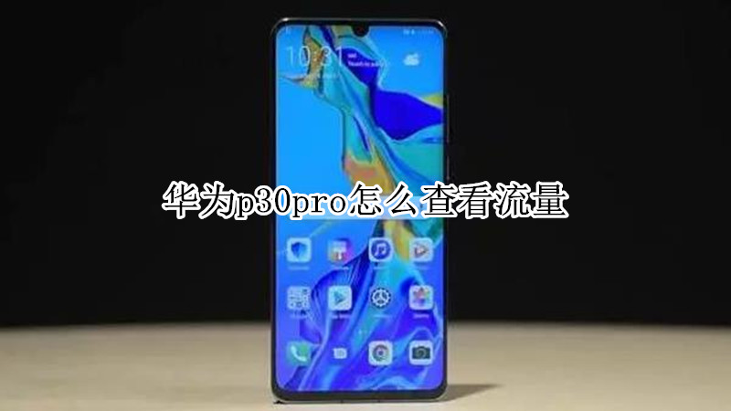 华为p30pro怎么查看流量