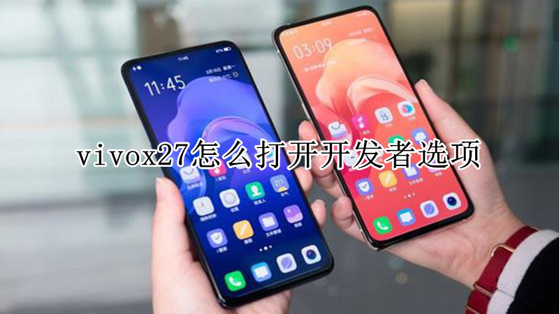 vivox27怎么打开开发者选项