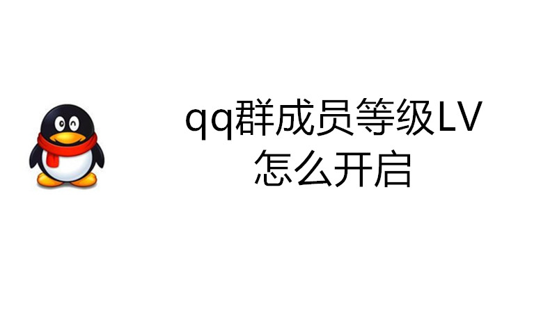 qq群成员等级LV怎么开启