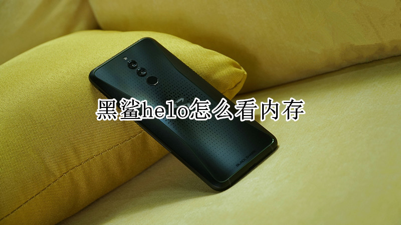 黑鲨helo怎么看内存