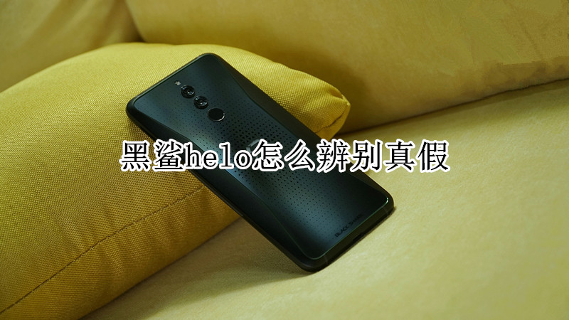 黑鲨helo怎么辨别真假
