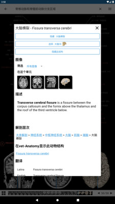 应用截图