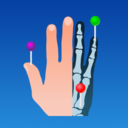 e-Anatomy