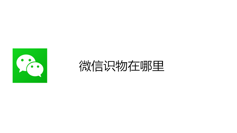 微信识物在哪里