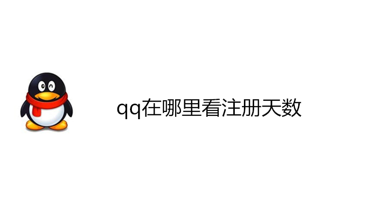 qq在哪里看注册天数