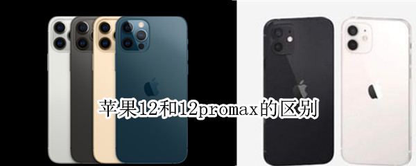 苹果12和12promax的区别