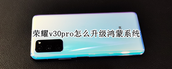荣耀v30pro怎么升级鸿蒙系统