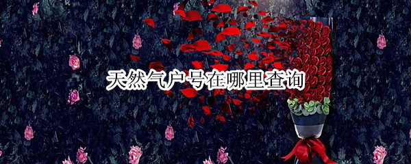 天然气户号在哪里查询