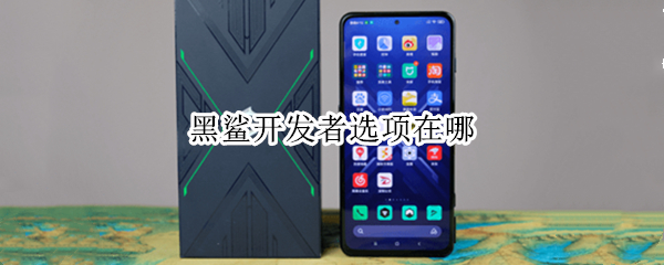 黑鲨开发者选项在哪